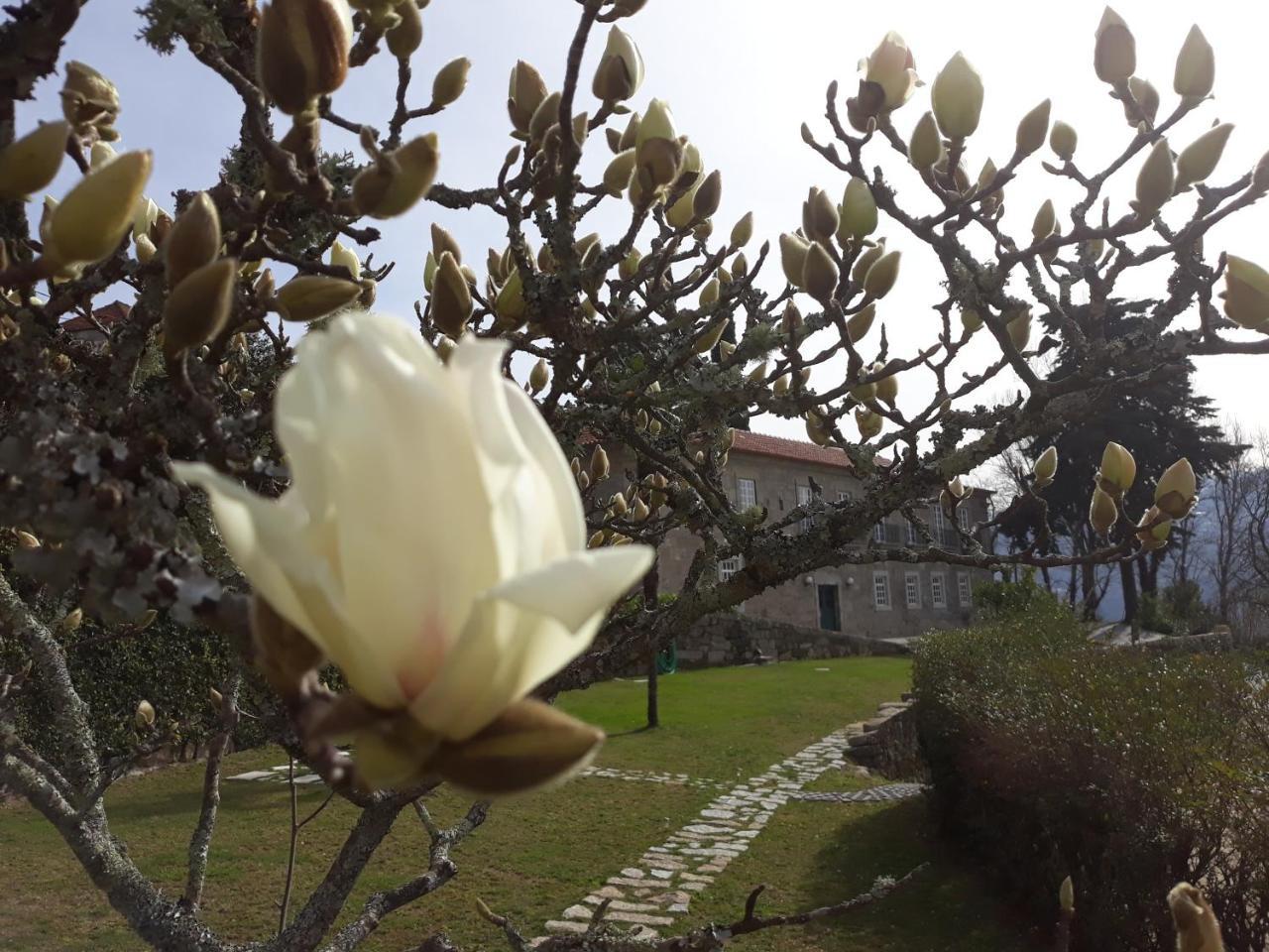 Hotel Quinta De Aguia - Non-Smoking Property São Lourenço do Douro Zewnętrze zdjęcie