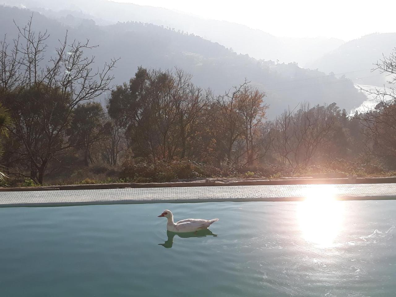 Hotel Quinta De Aguia - Non-Smoking Property São Lourenço do Douro Zewnętrze zdjęcie